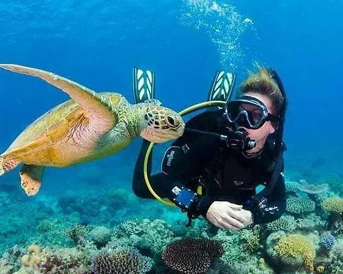 A Dreamy Luxury One-Bedroom Apartment With Special Views Of The Forest, Sea And Sunset Lägenhet Alanya