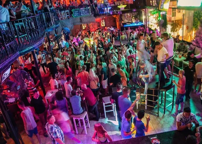 A Dreamy Luxury One-Bedroom Apartment With Special Views Of The Forest, Sea And Sunset