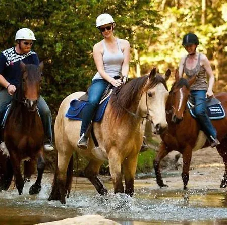 A Dream House With A Dream View In Royal Park Apartment Alanya