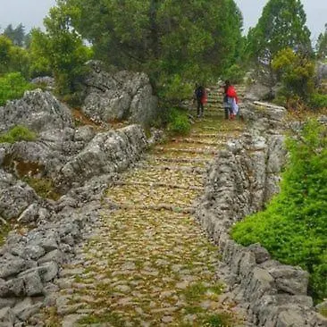 A Dreamy Luxury One-Bedroom Apartment With Special Views Of The Forest, Sea And Sunset Apartment