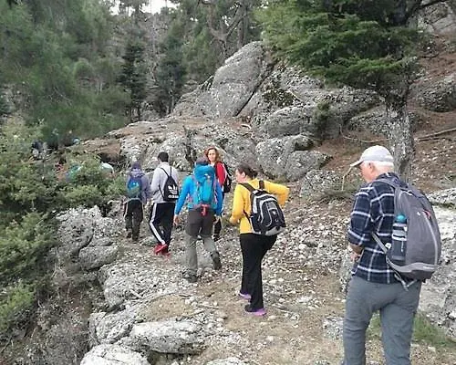 A Dreamy Luxury One-Bedroom Apartment With Special Views Of The Forest, Sea And Sunset