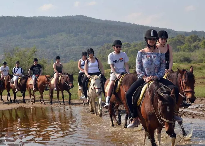 A Dreamy Luxury One-Bedroom Apartment With Special Views Of The Forest, Sea And Sunset אלאניה