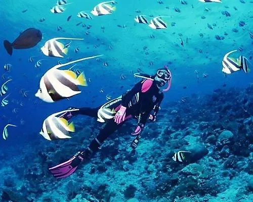 Apartment A Dreamy Luxury One-Bedroom Apartment With Special Views Of The Forest, Sea And Sunset