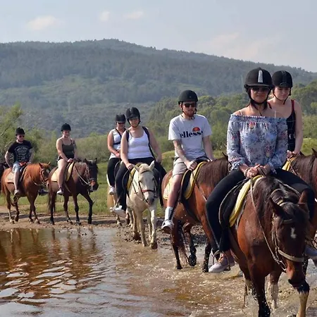 A Dream House With A Dream View In Royal Park 阿拉尼亚