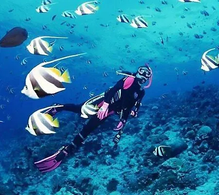 公寓 A Dream House With A Dream View In Royal Park